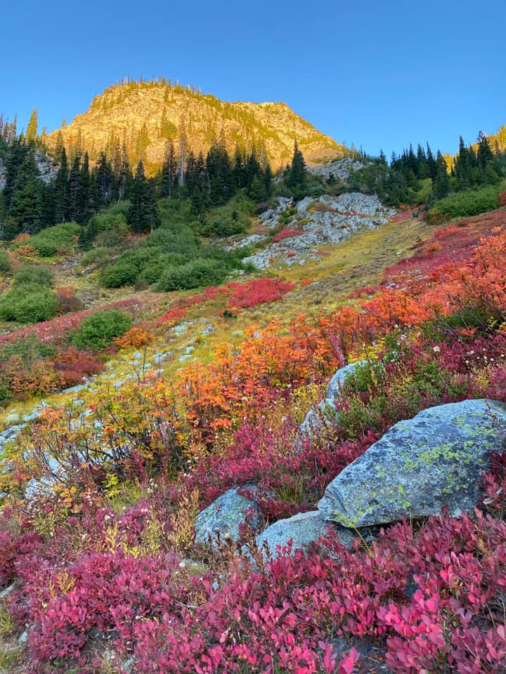 North Cascades National Park image 3