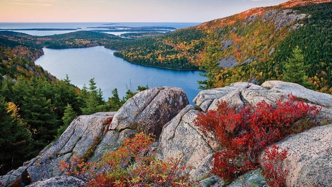 Image result for acadia national park