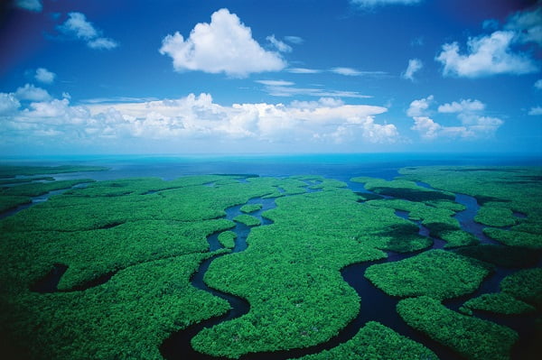 Welcome to Everglades National Park