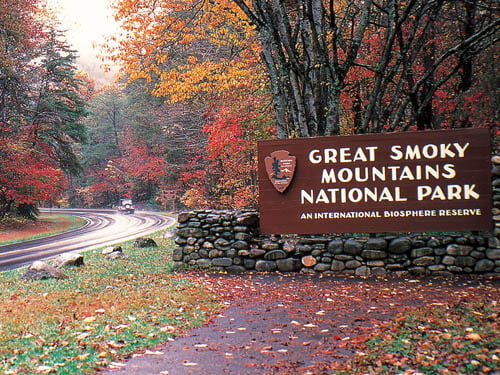 Image result for smoky mountain national park