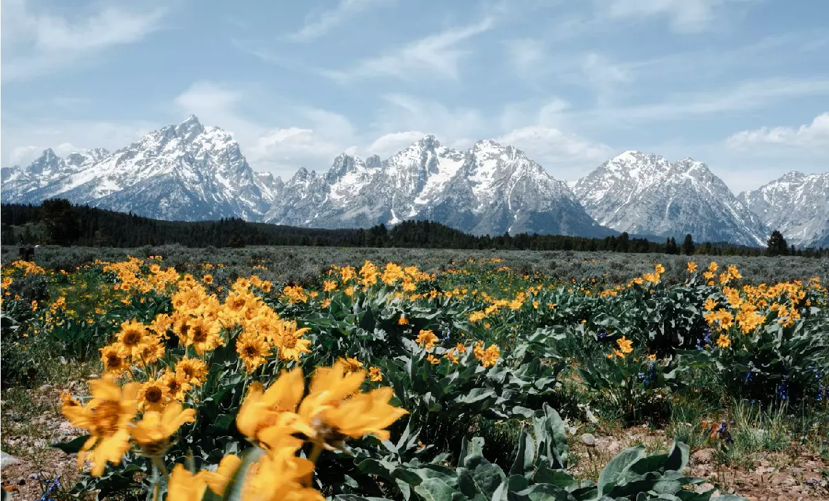 3 Tips to Drive Safely on a Midwest National Park Road Trip 1 3 Tips to Drive Safely on a Midwest National Park Road Trip