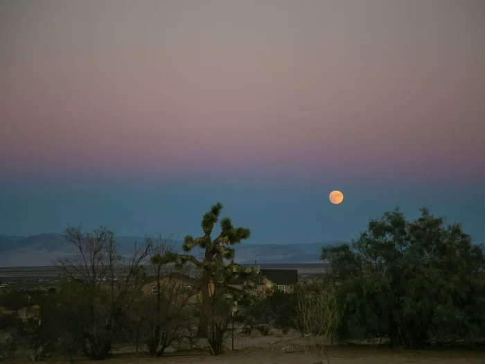 Why No Internet in National Parks​