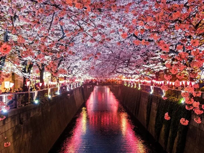 How to Move to Japan A Comprehensive 12-Step Guide
