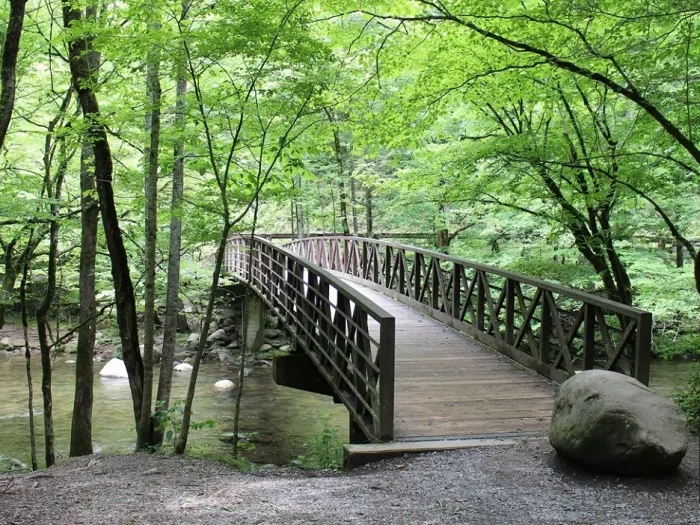 Top 6 Must-Do Activities in Great Smoky Mountains National Park