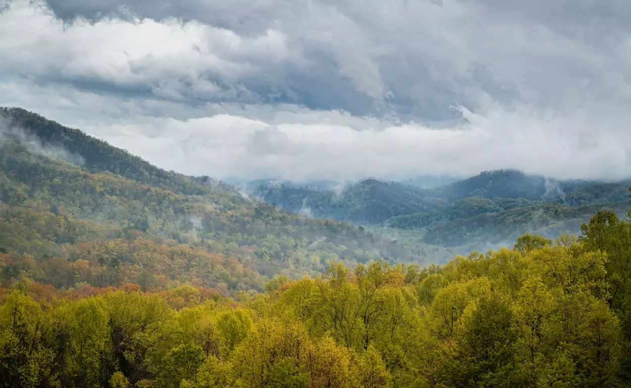 Digital Nomad's Guide to National Parks Working Remotely in Nature's Office