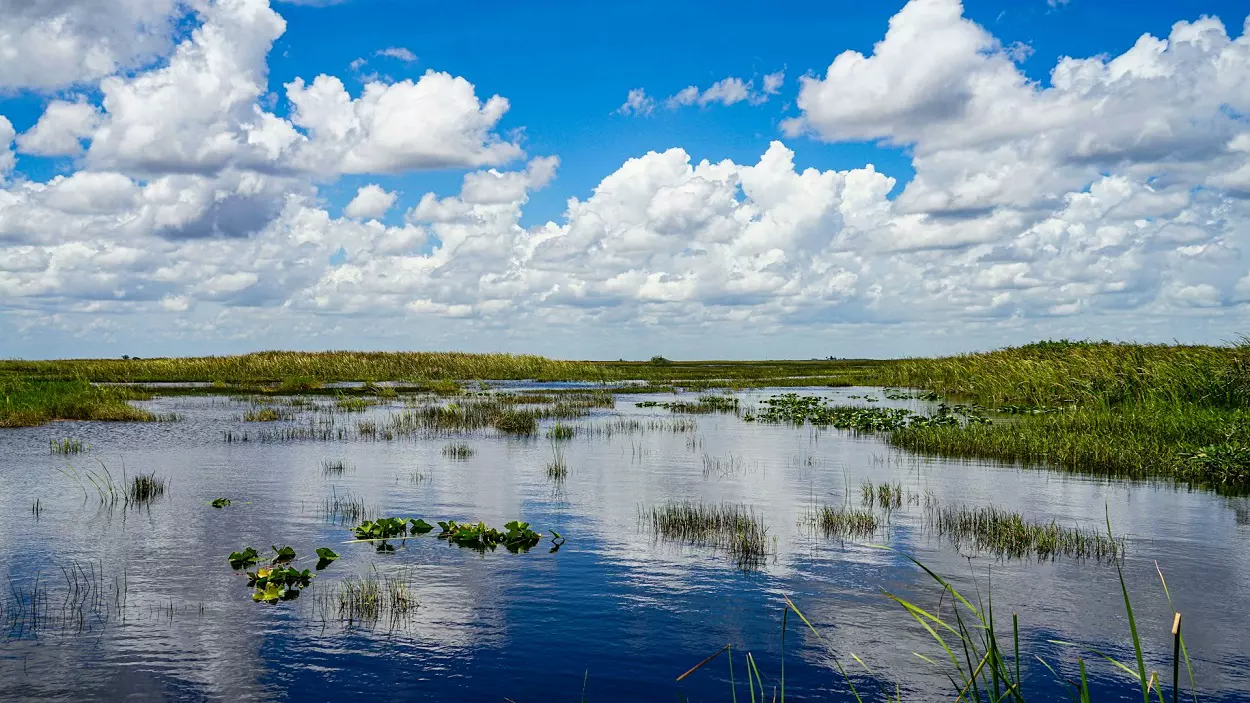 When Was Everglades National Park Established? 1 When Was Everglades National Park Established