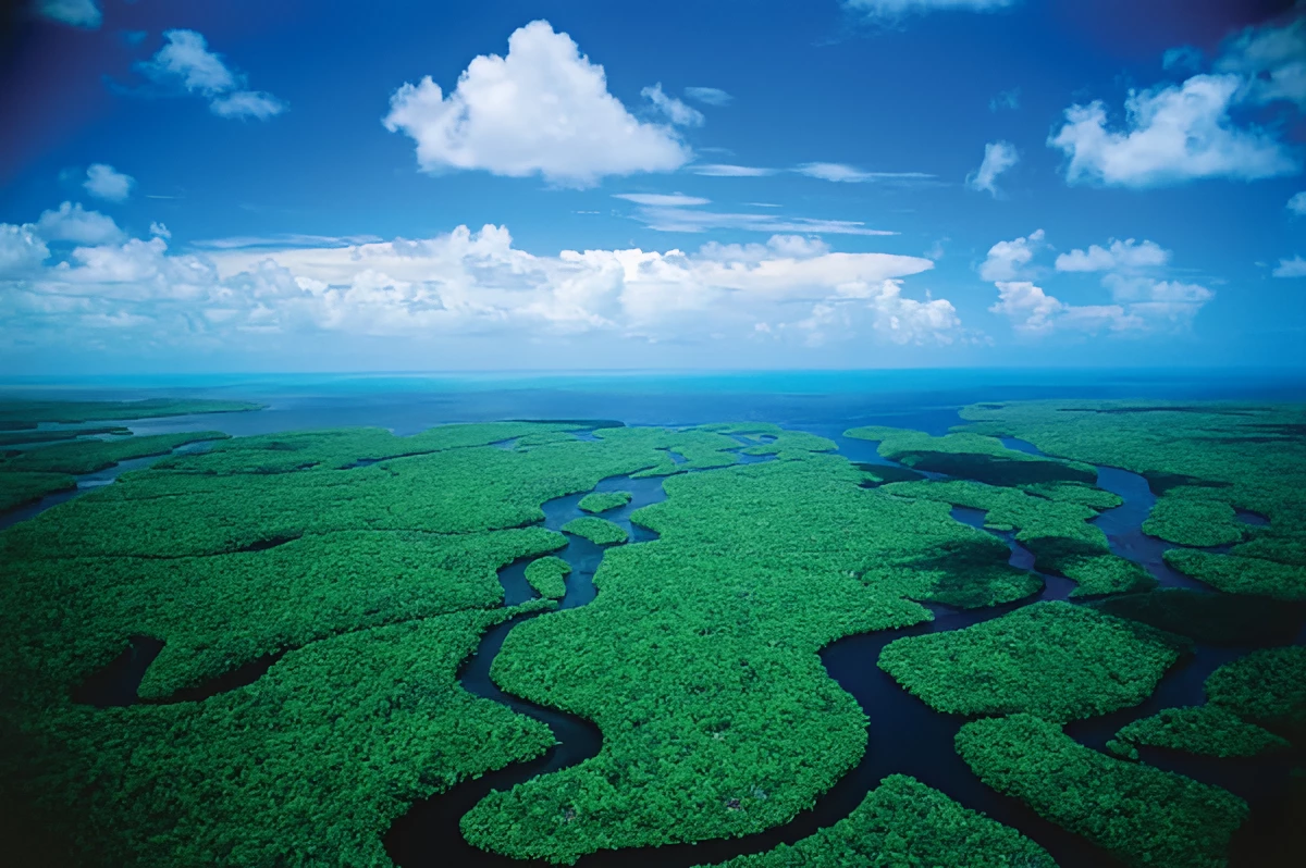 Welcome to Everglades National Park 1 Everglades National Park Photo