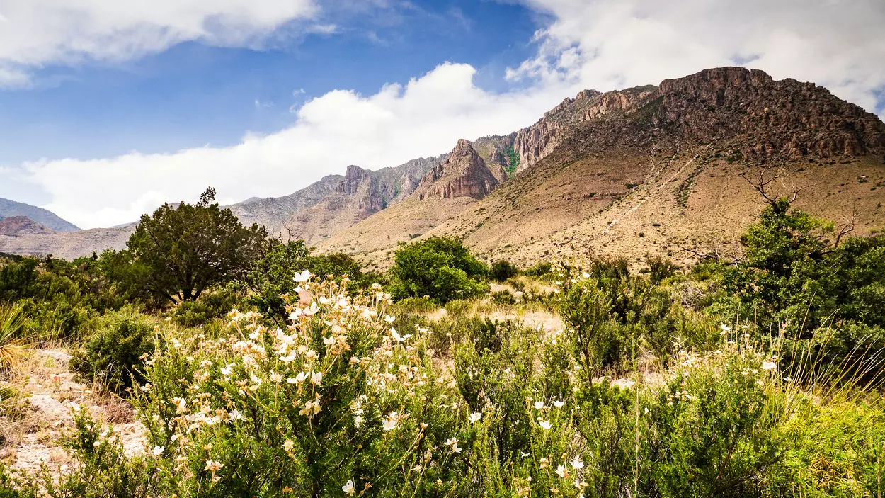 When Was Guadalupe Mountains National Park Established? 1 When Was Guadalupe Mountains National Park