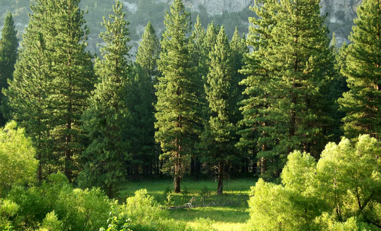 The History of Kings Canyon National Park 1 The History of Kings Canyon National Park