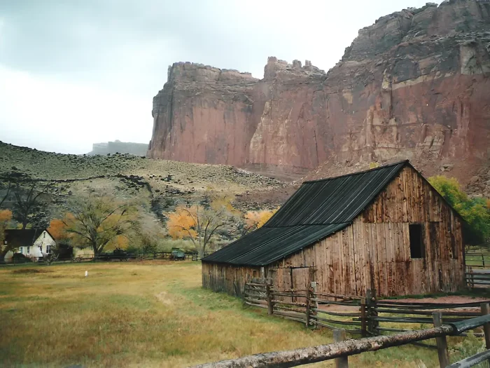 Best Things to Do in Capitol Reef National Park - Fruita Historic District