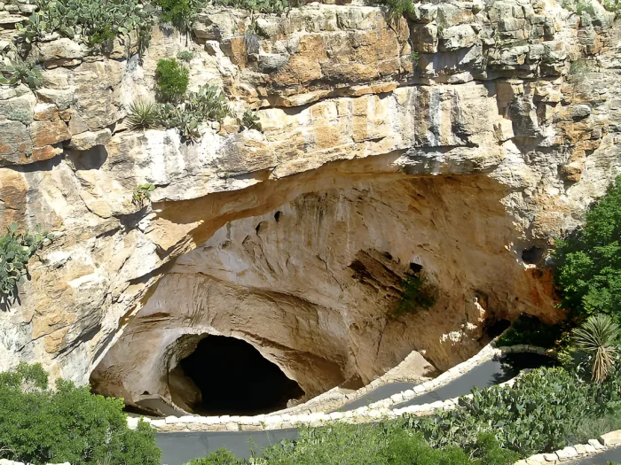 Best Things to Do in Carlsbad Caverns National Park