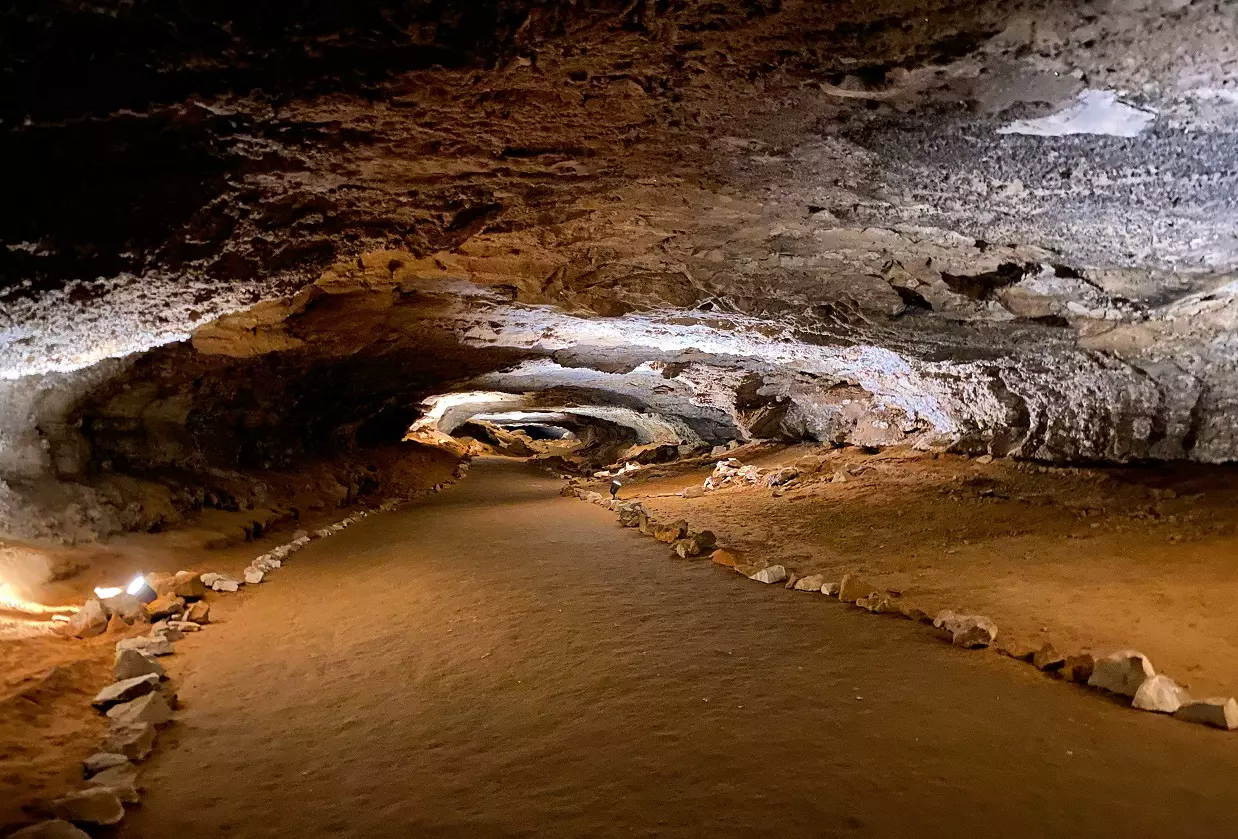 Best Things to Do in Mammoth Cave National Park 1 Best Things to Do in Mammoth Cave National Park