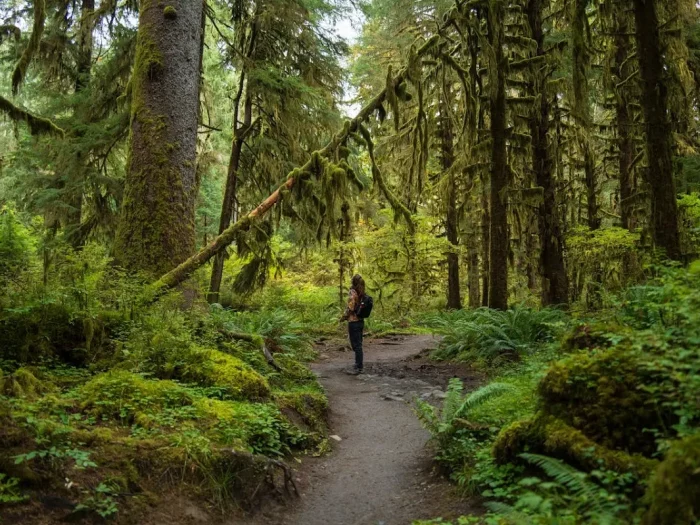Best Things to Do in Olympic National Park 2 Best Things to Do in Olympic National Park