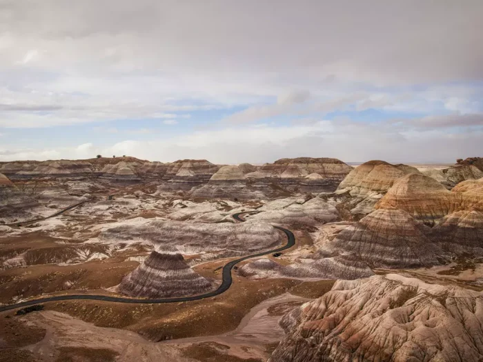 Welcome to Petrified Forest National Park Best Things to Do in Petrified Forest National Park