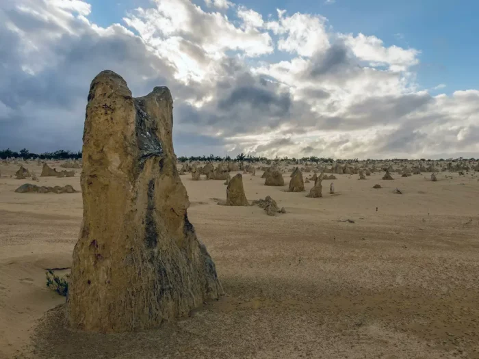 Best Things to Do in Pinnacles National Park