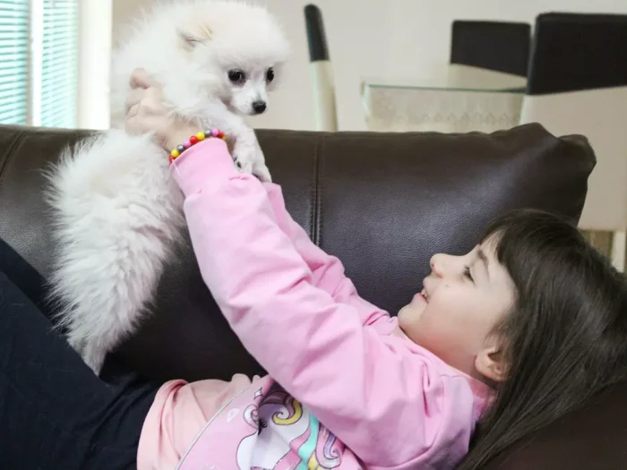 Creating a Stylish Home That Welcomes Kids and Pets