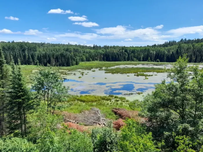 Best Things to Do in Voyageurs National Park