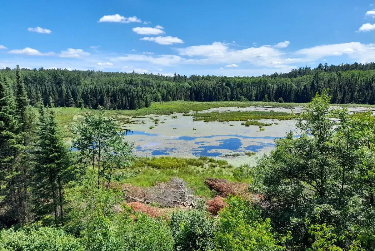 Best Things to Do in Voyageurs National Park 1 Best Things to Do in Voyageurs National Park