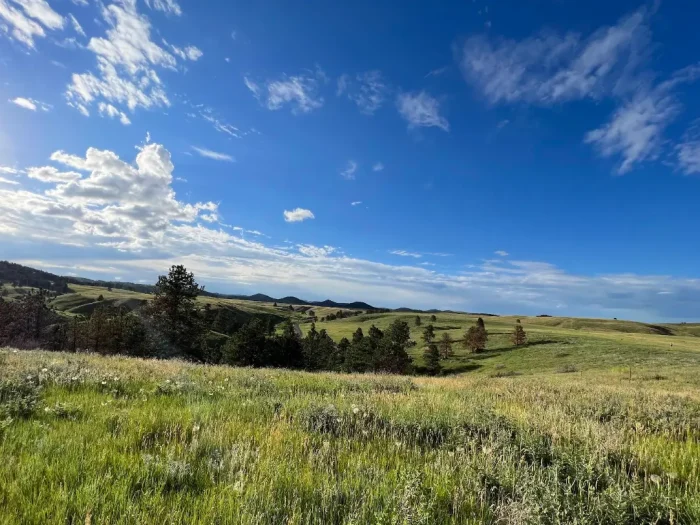 Best Things to Do in Wind Cave National Park