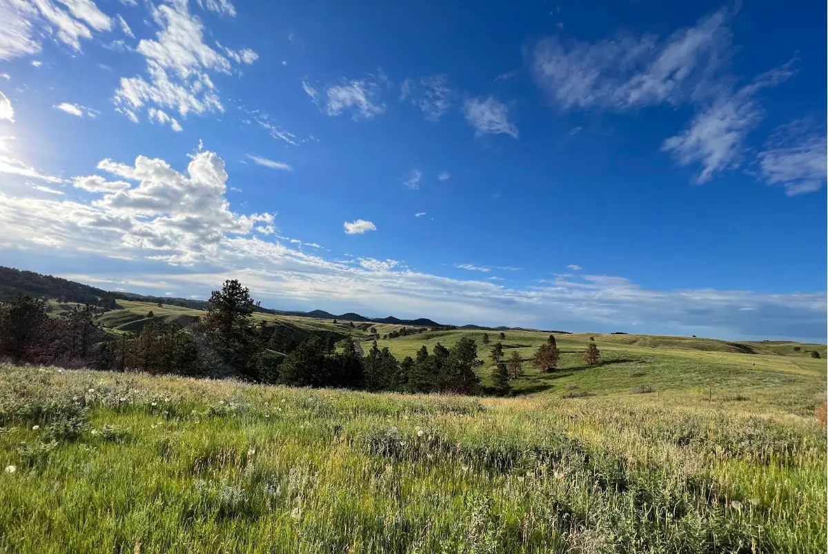 Best Things to Do in Wind Cave National Park 1 Best Things to Do in Wind Cave National Park