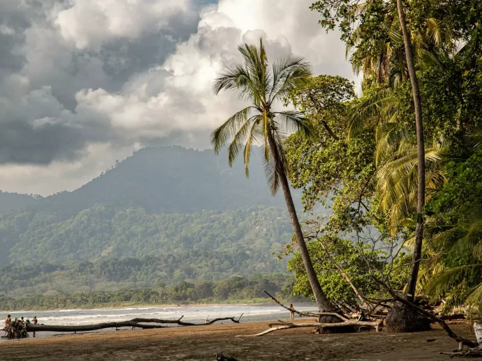 Eco-Tourism Trend: Sustainable Hotels Join Black Friday Rush 🌍