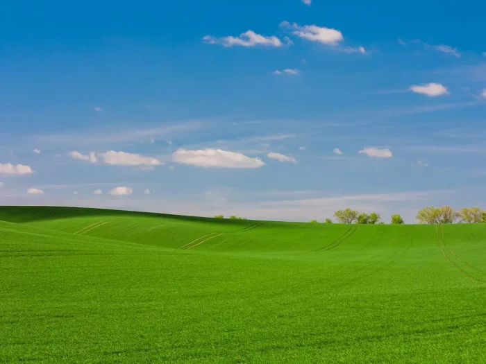 Drought-Smart Landscaping in North Texas: Lessons from Local Parks