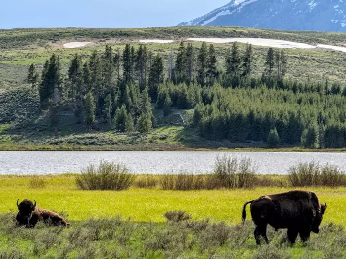 Hunting Laws Near Protected Forests and Park Boundaries 4 Hunting Laws Near Protected Forests and Park Boundaries