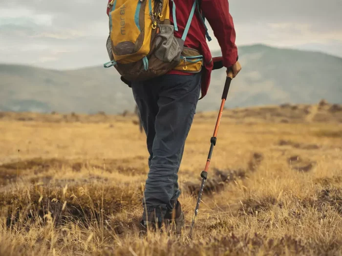 The Complete Guide to Trekking Poles for Safer and Smarter Hiking 8 The Complete Guide to Trekking Poles for Safer and Smarter Hiking