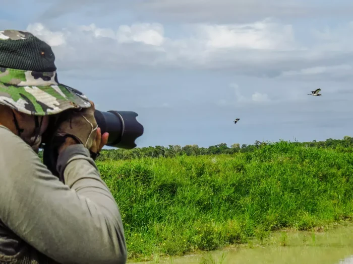 From National Parks to Your Backyard: How Smart Bird Feeders Extend Your Birdwatching Adventure 1 From National Parks to Your Backyard: How Smart Bird Feeders Extend Your Birdwatching Adventure