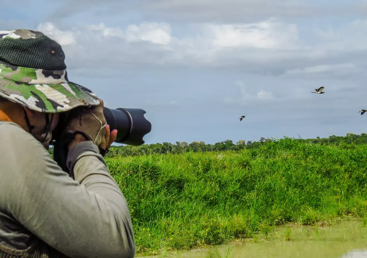 From National Parks to Your Backyard: How Smart Bird Feeders Extend Your Birdwatching Adventure 1 How Smart Bird Feeders Extend Your Birdwatching Adventure