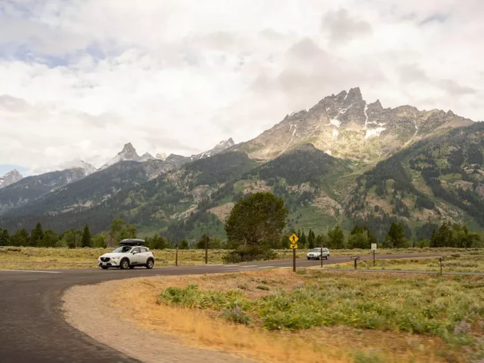 How to Handle a Car Crash in a National Park