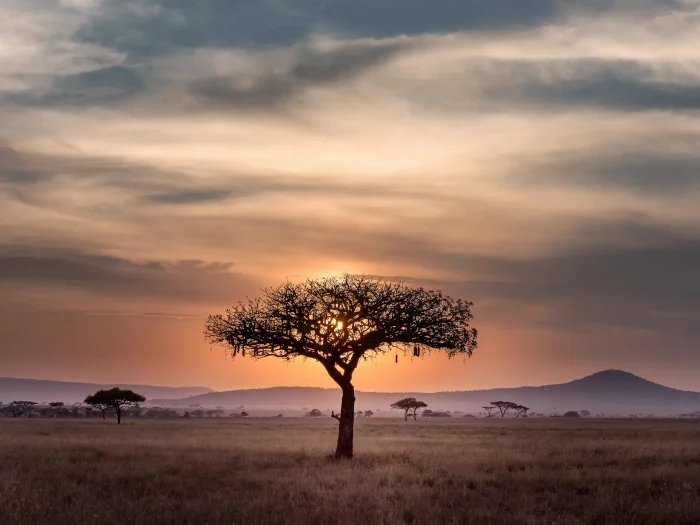 Self-Driving in Tanzania and Kenya: A Guide to 4×4 Adventure Self Drive Tours and Camping Safaris 1 Self-Driving in Tanzania and Kenya: A Guide to 4×4 Adventure Self Drive Tours and Camping Safaris