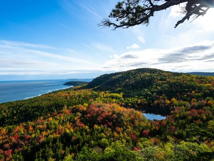 Planning a Trip to Acadia National Park Bar Harbor Maine
