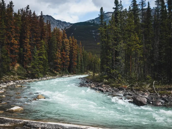 Jasper National Park: Complete Travel Guide 3 Jasper National Park Complete Travel Guide