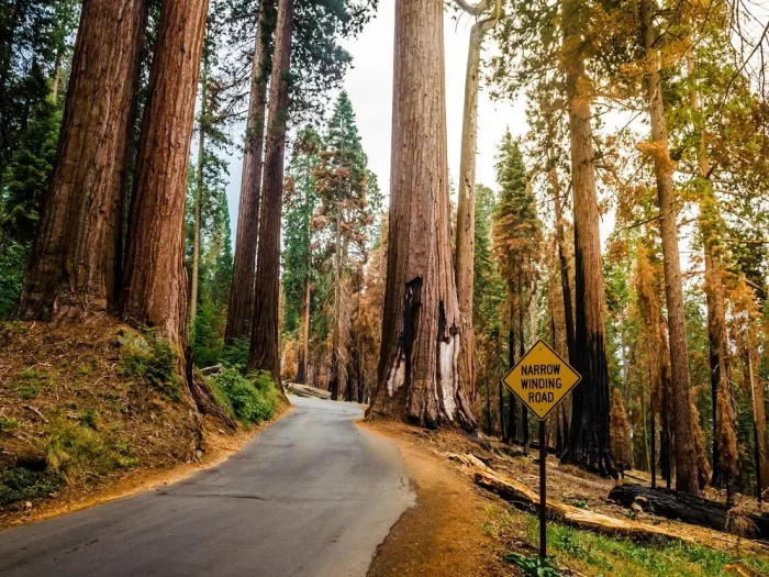 What to Pack, Check and Secure Before a Cross-Country National Park Trip 2 Check and Secure Before a Cross-Country National Park Trip